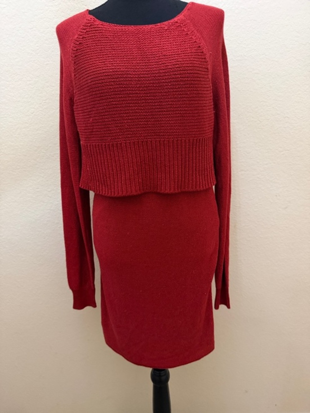 Gianni Bini Red Cropped Knit Sweater & Fitted Skirt Set
